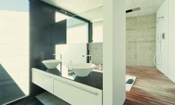 Etiam commodo convallis