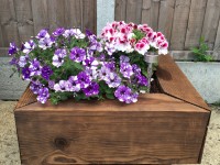 Pflanzentöpfe aus massiven Holzbalken